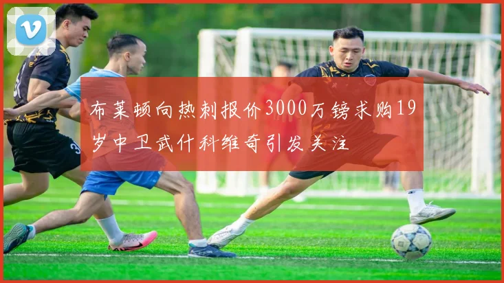 布莱顿向热刺报价3000万镑求购19岁中卫武什科维奇引发关注