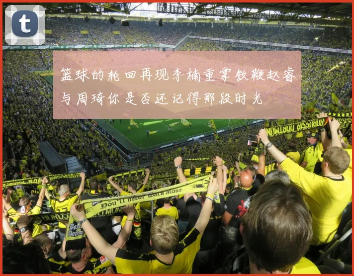篮球的轮回再现李楠重掌教鞭赵睿与周琦你是否还记得那段时光